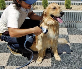 インターロッキング、透水性、施工例