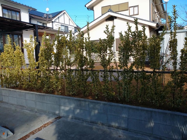 お庭をリノベーション！